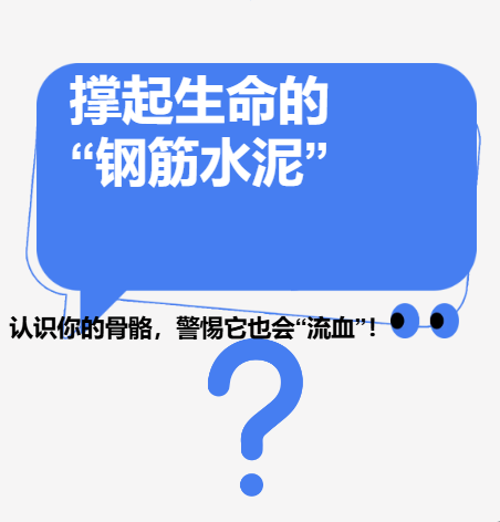 文献综读 | 撑起生命的“钢筋水泥”:认识你的骨骼,警惕它也会“流血”!